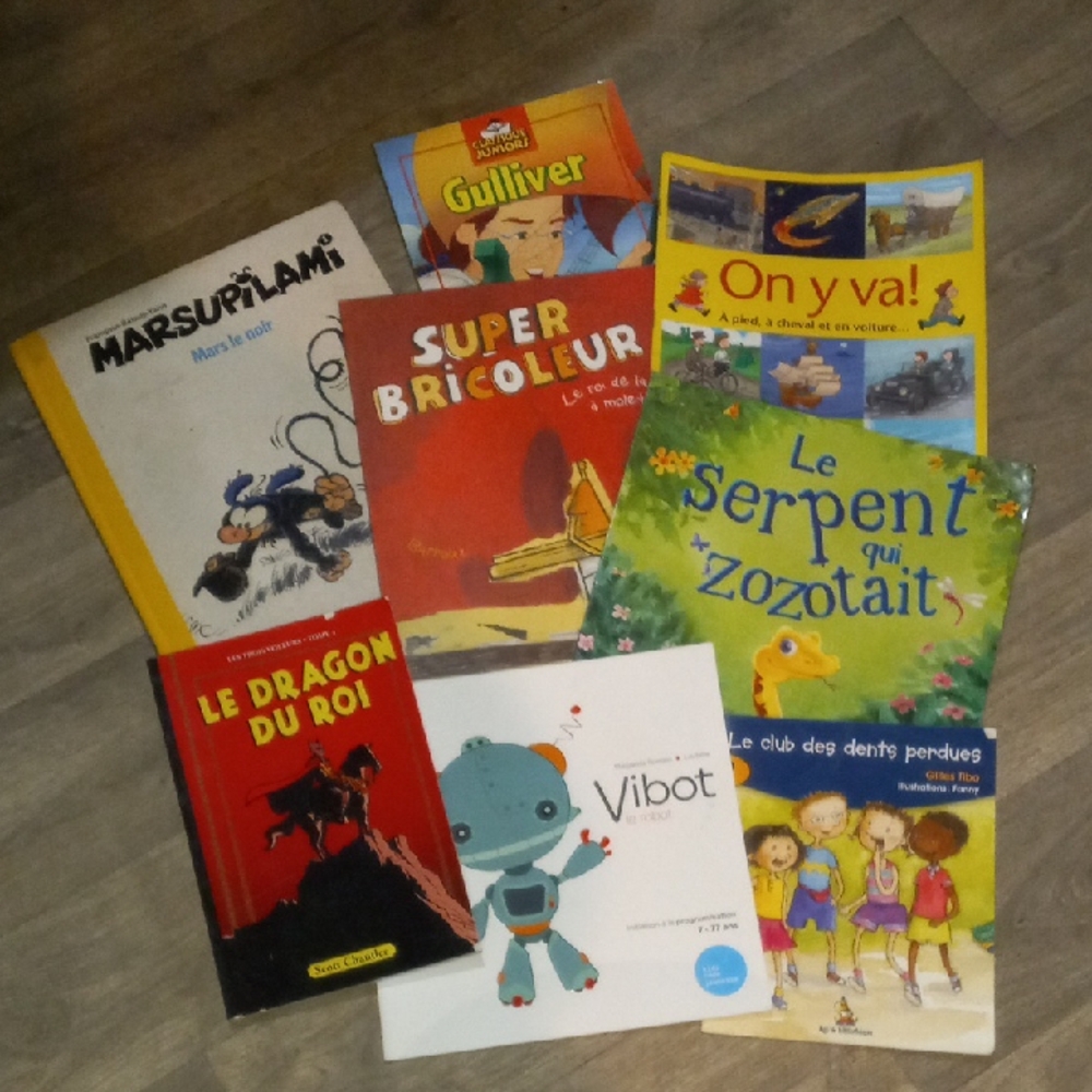 Lot De Livres D'enfants En Francais Colorful Children's FRENCH Book Collection